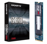 GIGABYTE SSD 256GB M.2