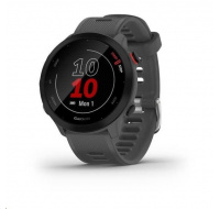 Garmin GPS sportovní hodinky Forerunner 55 Grey